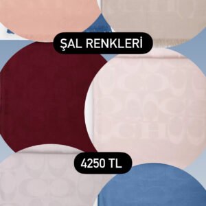 Coach Diktortgen Sallar